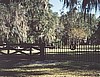 Kanapaha Cemetery gets a New Gate